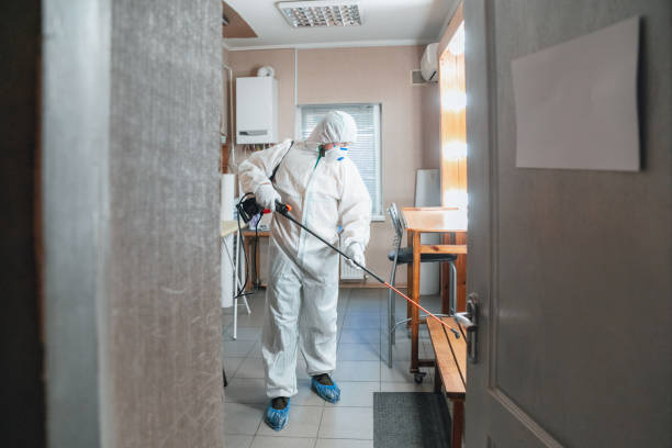 Best Crawl Space Mold Remediation  in Taylors, SC