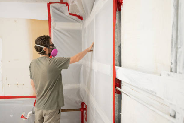 Best Mold-Related Health Consultation  in Taylors, SC