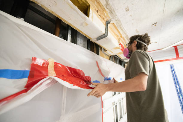 Best Mold Remediation for Healthcare Facilities  in Taylors, SC