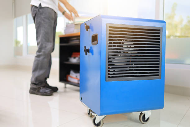 Best Dehumidification Services  in Taylors, SC