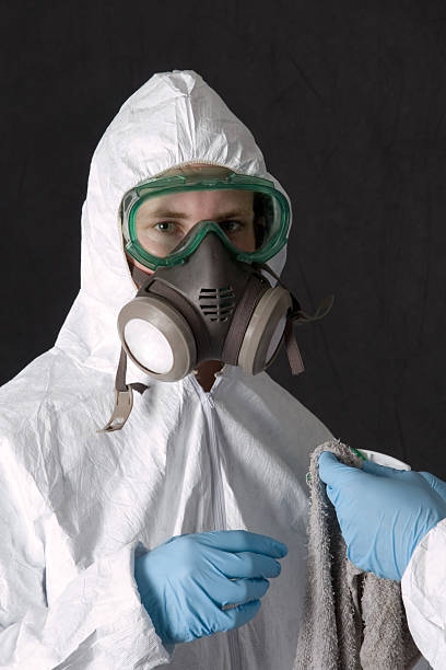 Best Residential Mold Inspection & Testing  in Taylors, SC